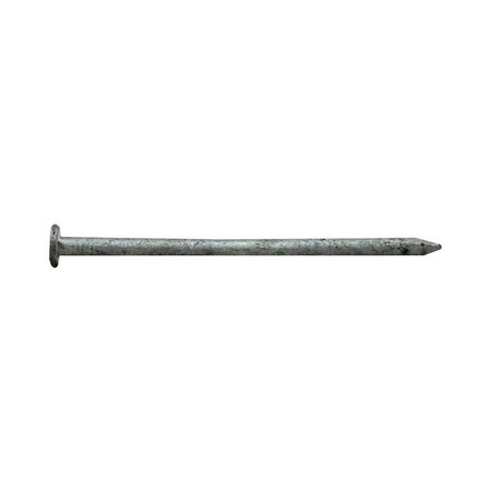 PRO-FIT Common Nail, 3 im L, 10D 0054175